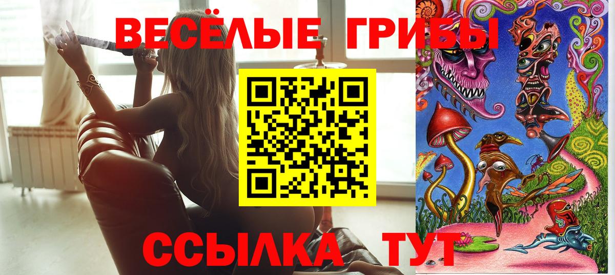 Псилоцибиновые грибы Psilocybe  Вход с VPN  Зеленокумск 